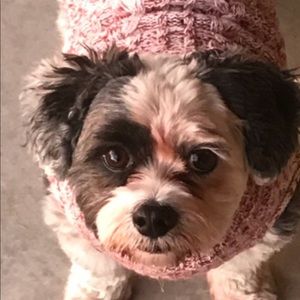 Meet your Posher, Kelly